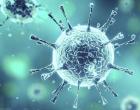 Вирусология - наука о вирусах